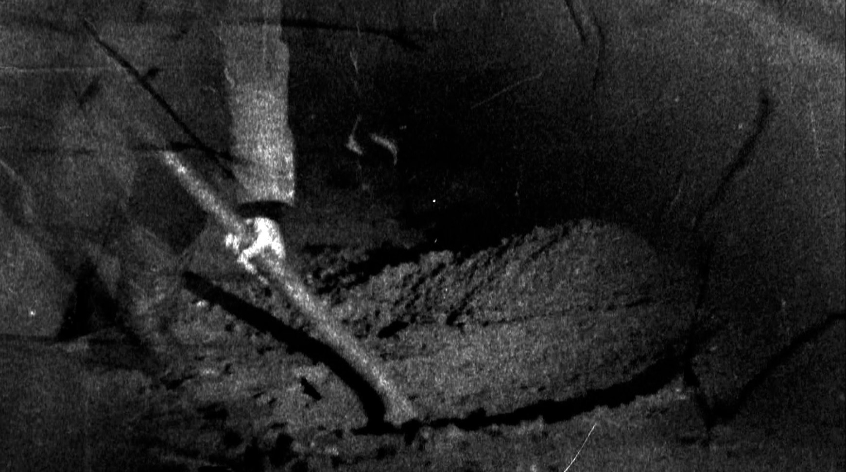 Results of the Experiment