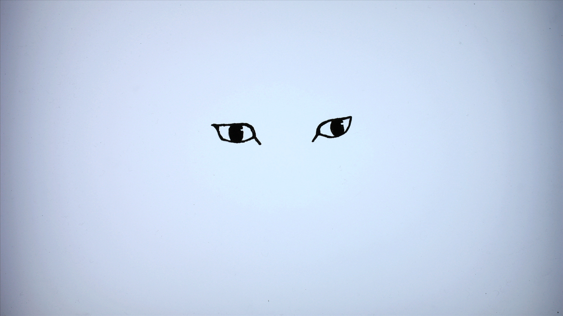 4349_TLRTY_cat_eyes_still.jpg 4349_TLRTY_cat_eyes_still.jpg