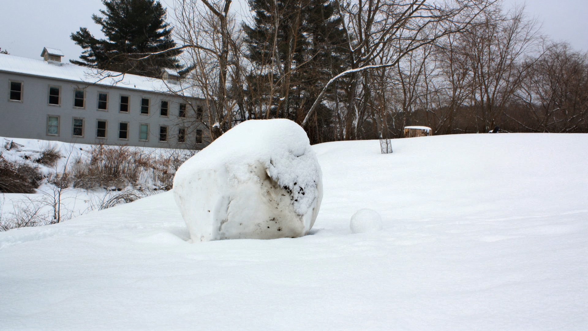 4364_Snowball_still2.jpg 4364_Snowball_still2.jpg