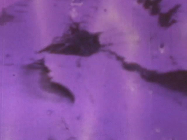 4401_Sight_1.jpg 4401_Sight_1.jpg
