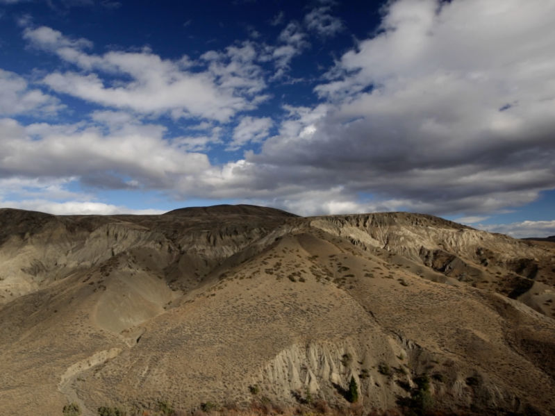 4941_7213_Radius-2.jpg